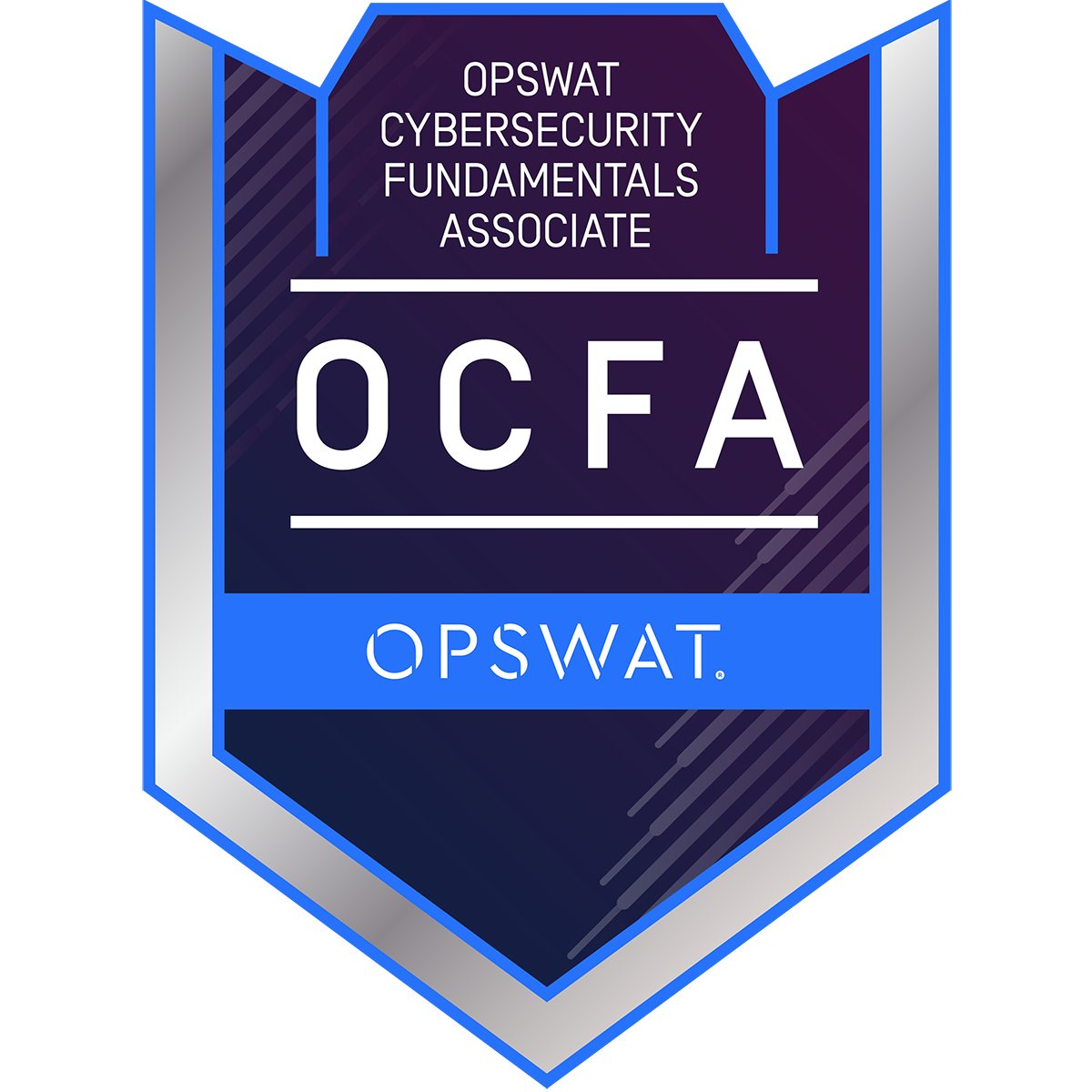 Cybersecurity Fundamentals Associate (OCFA)